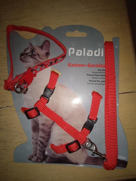 pack collier et ceinture