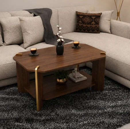 Table Basse Moderne avec Rangement Intégré