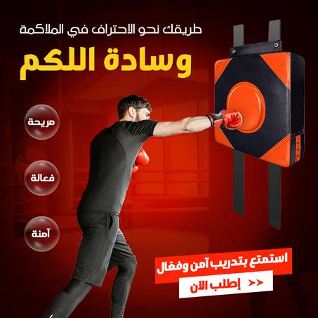 كيس الملاكمة الاحترافي
