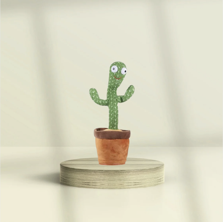 الصبّارة الراقصة