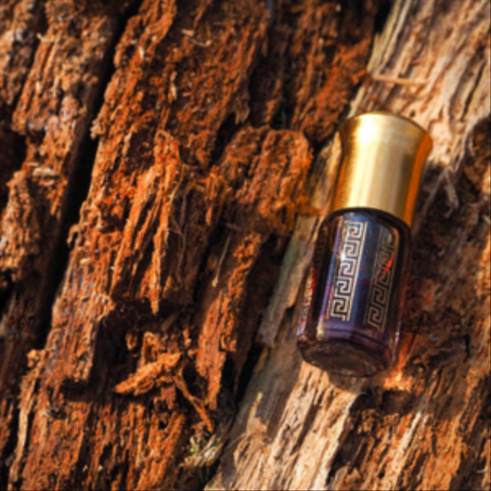 💧 دهــن العــود الثمين – قطـرات من الفخامة