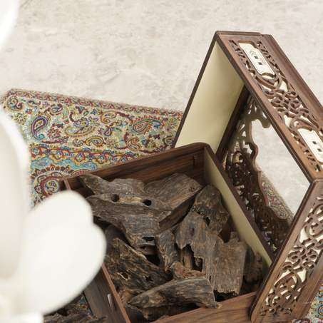 عود قواقع تراد فيتنامي