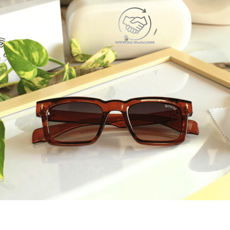 lunettes MOSCOT  2024