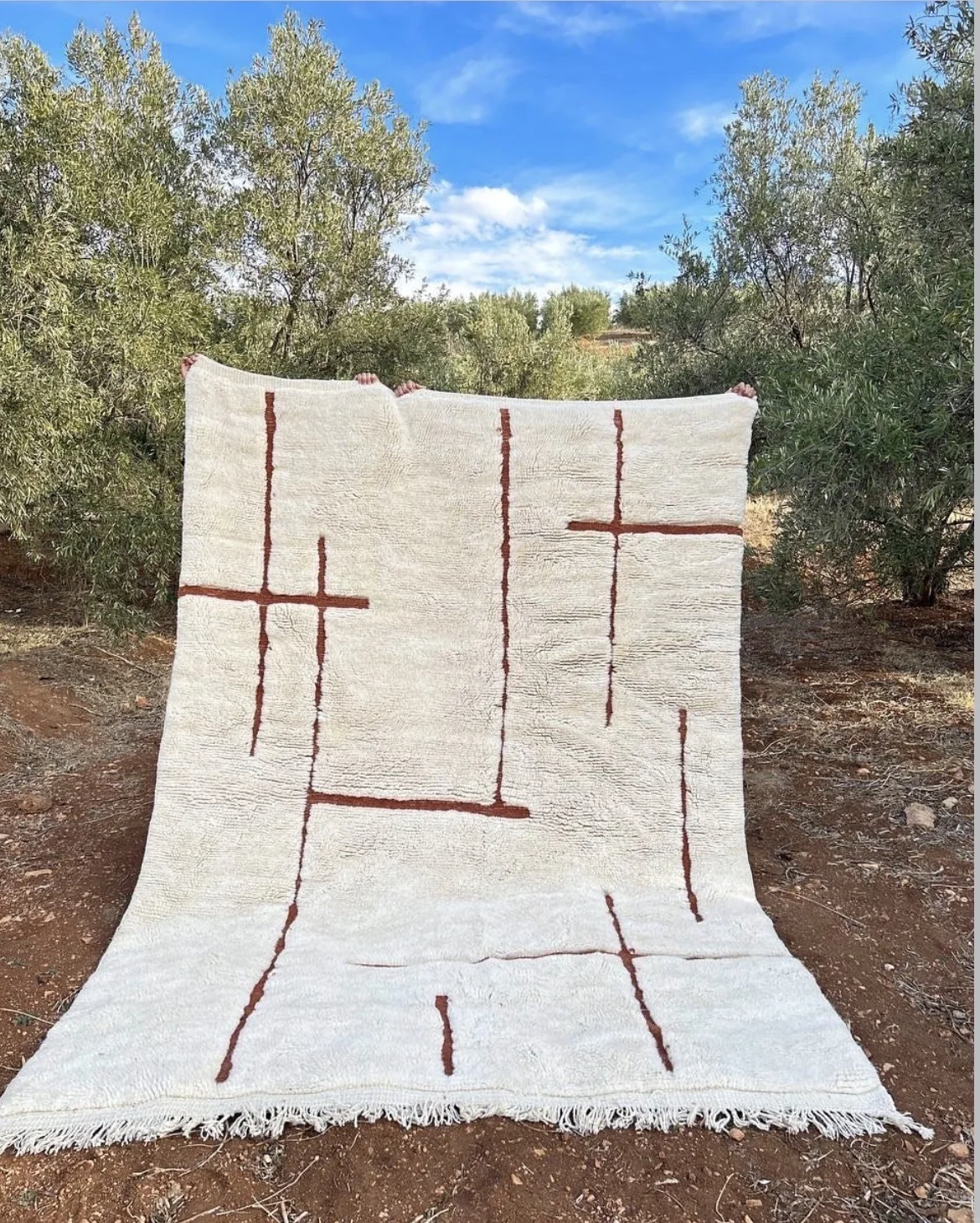 BERBISH BENI MODERN RUG