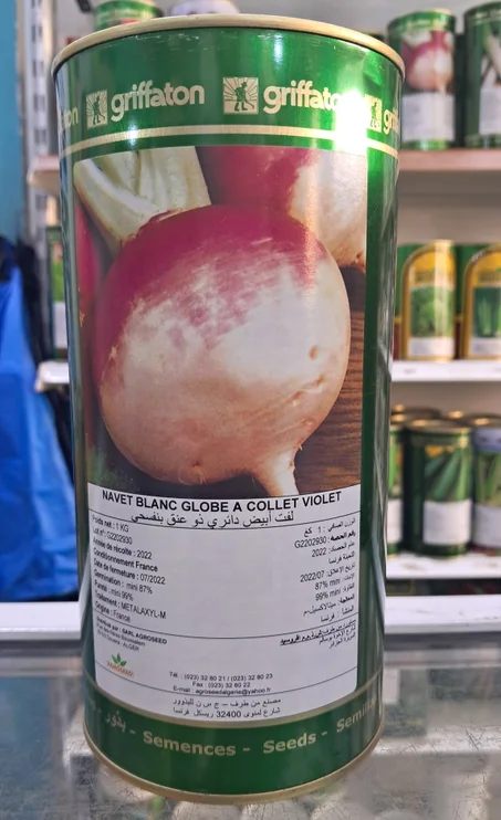 Navet Blanc Globe a collet violet GFT 1Kg بذور اللفت الابيض ذات العنق البنفسجي