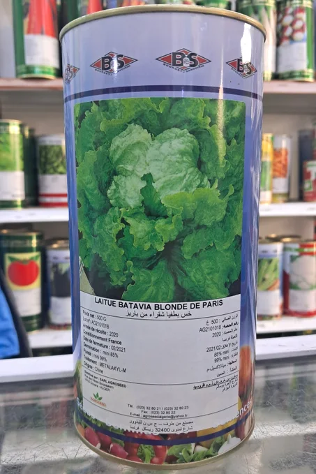 Laitue Batavia Blonde de paris BS 500g بذور خس بطفيا شقراء من باريس