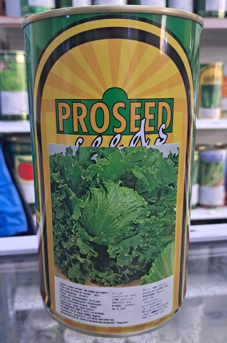 Laitue Blonde de paris prossed 500g بذور خس شقراء من باريس