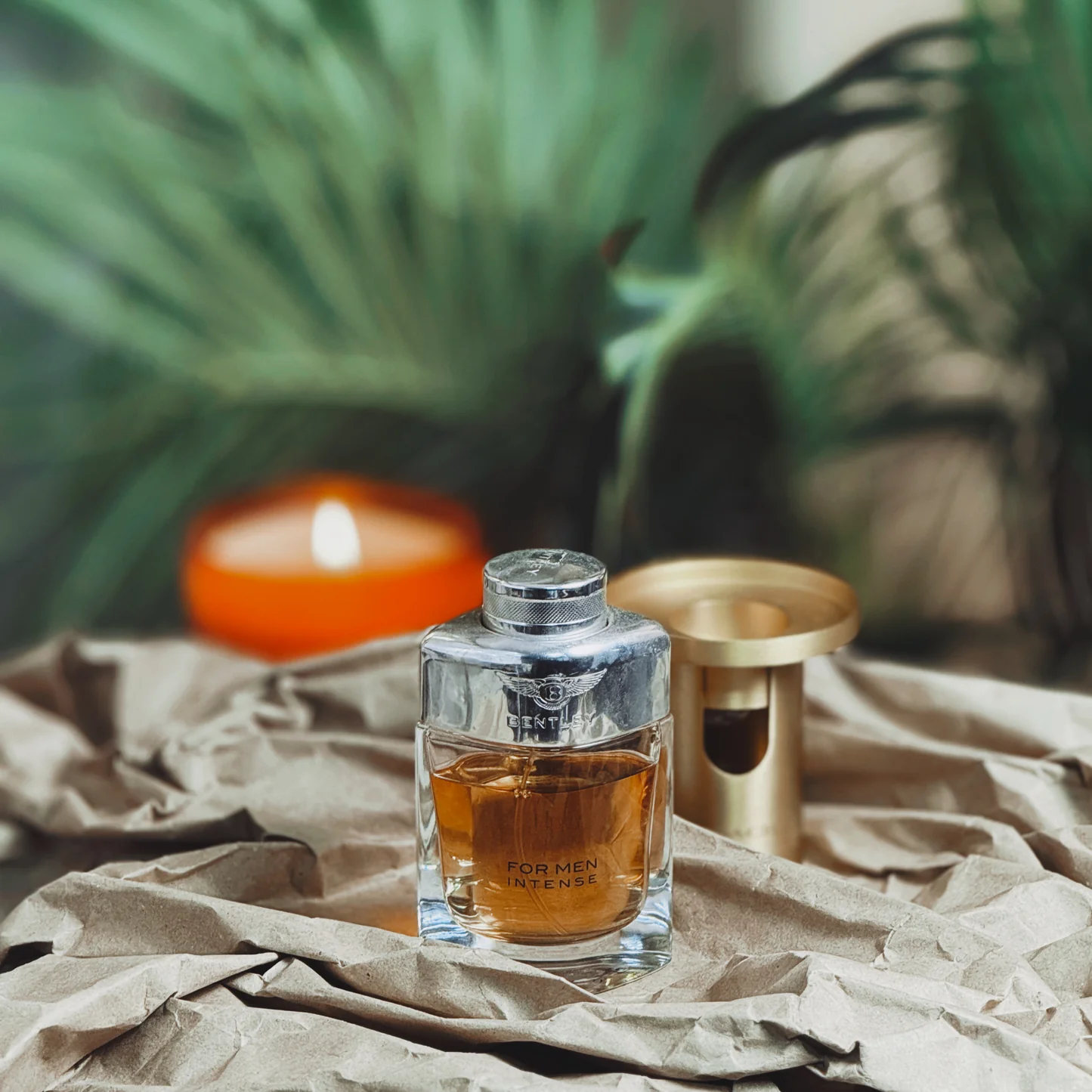 Bentley for men intense