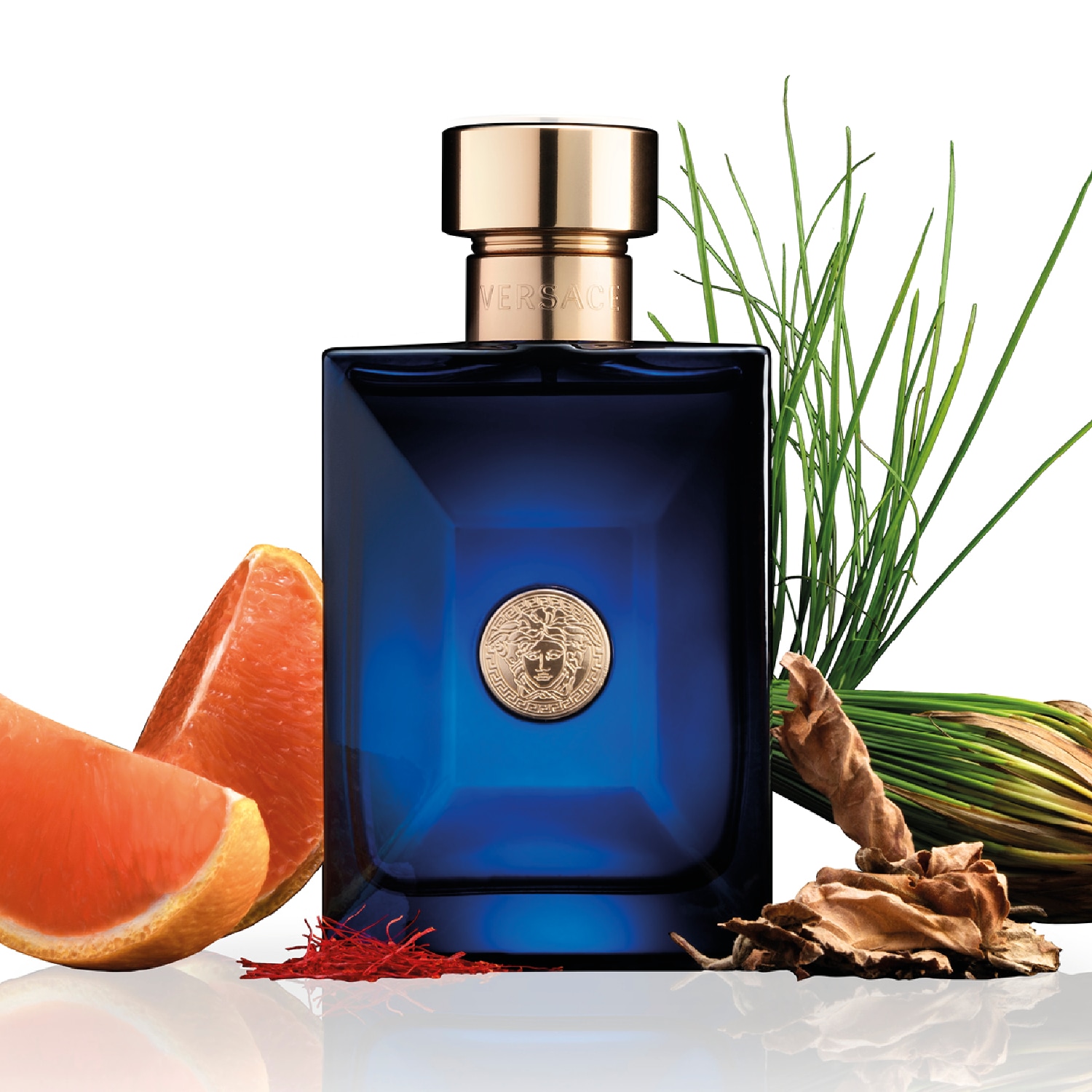 Versace Dylan Blue