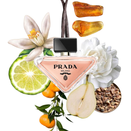 Prada Paradox Eau de Parfum