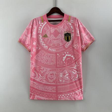 2023 Italy Special Edition Pink Replica Jersey S-XL