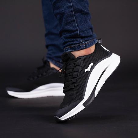 Basket Harmont & Blaine