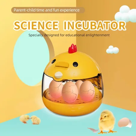 Couveuse Automatique pour Œufs de Poule & Caille – Éclosion Facile à la Maison