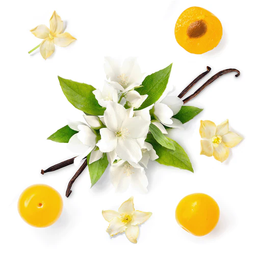 MAUBOUSSIN ORIENTALEAU DE PARFUM