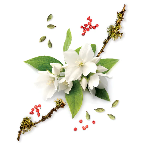 MAUBOUSSIN DISCOVERY EAU DE PARFUM