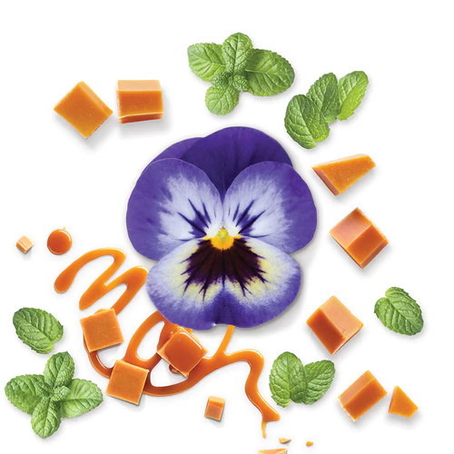 MAUBOUSSIN POUR LUI IN BLACK EAU DE PARFUM