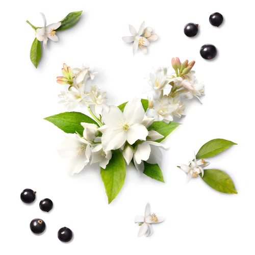 MAUBOUSSIN MY TWIST EAU DE PARFUM