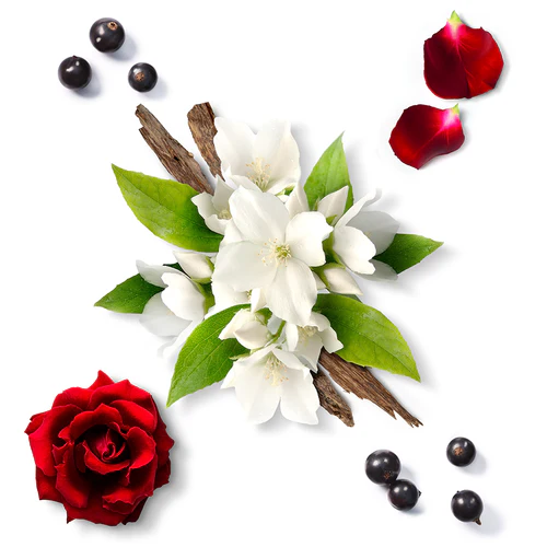 MAUBOUSSIN ELIXIR POUR ELLE EAU DE PARFUM