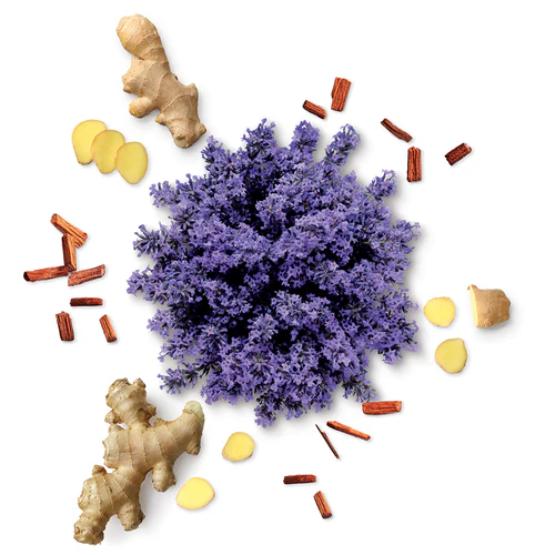 MAUBOUSSIN POUR LUI IN RED EAU DE PARFUM