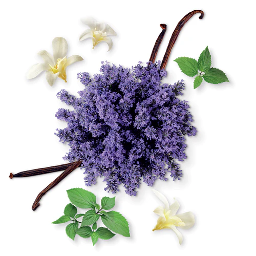 MAUBOUSSIN POUR HOMME EAU DE PARFUM