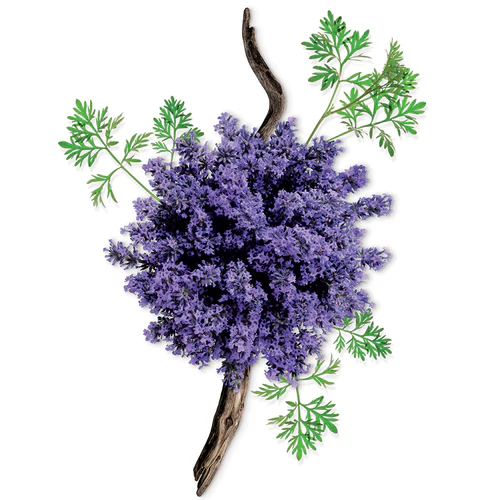 MAUBOUSSIN POUR LUI EAU DE PARFUM