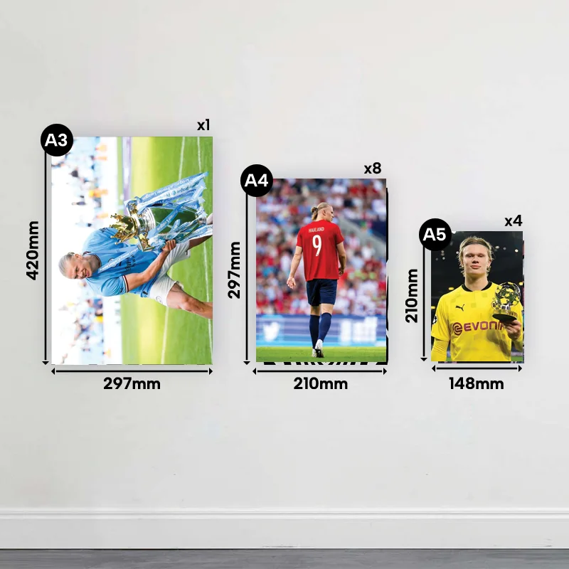 Pack posters-HALLAND