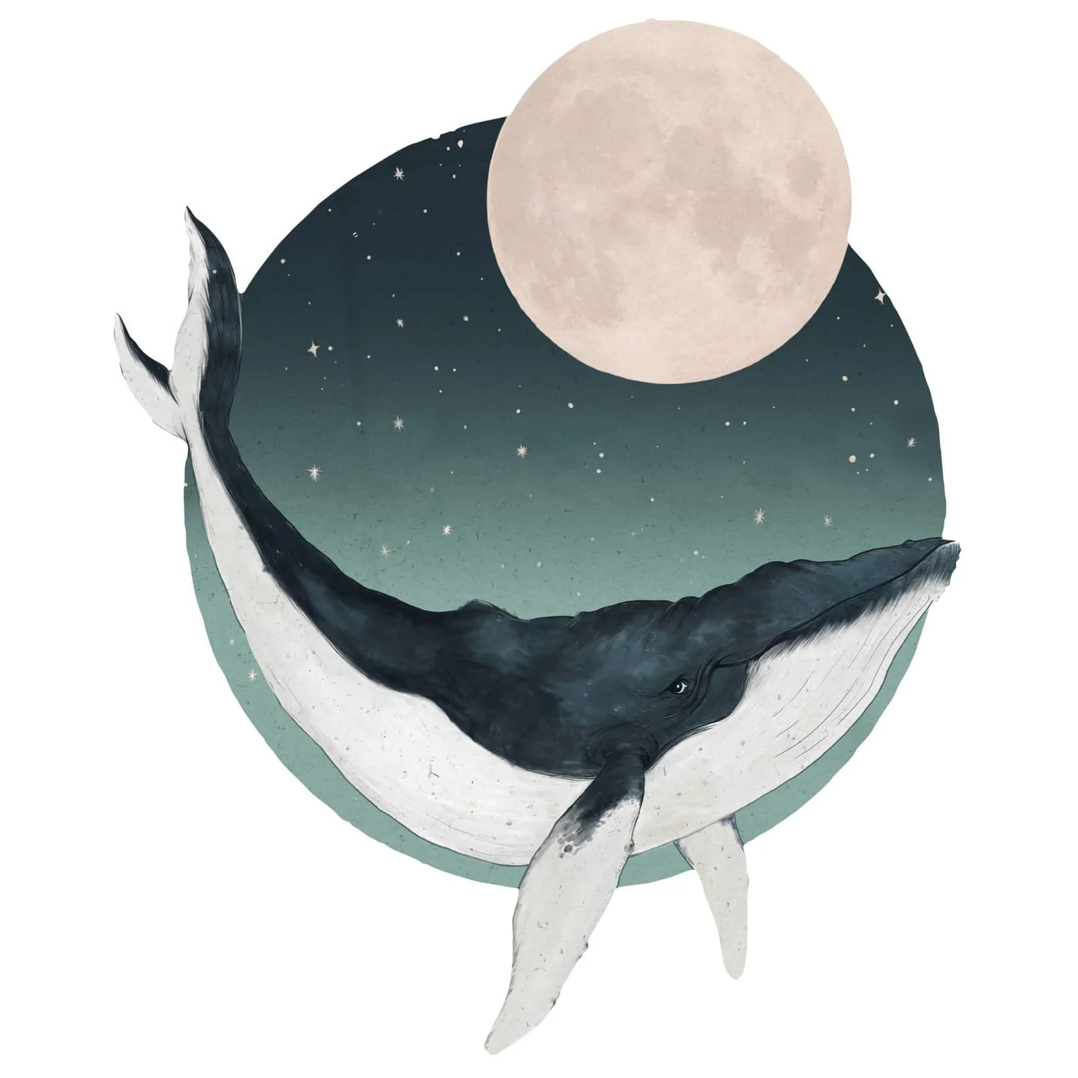 Sticker mural Graves - Baleine à bosse