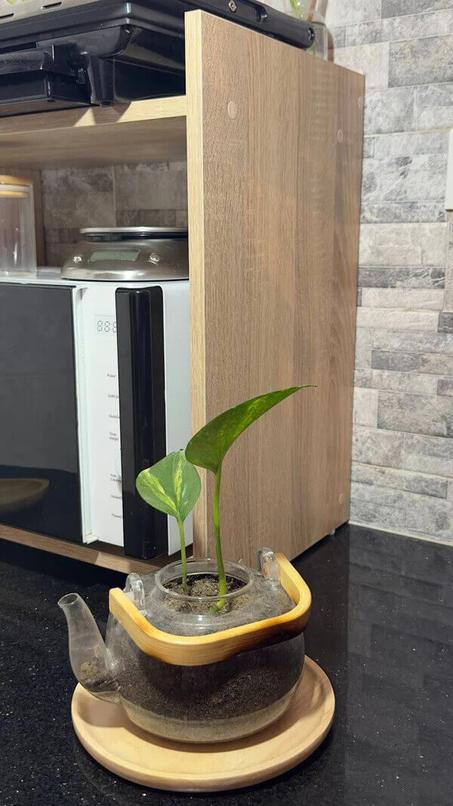 مرتب الأجهزة المنزلية - خشب 100%