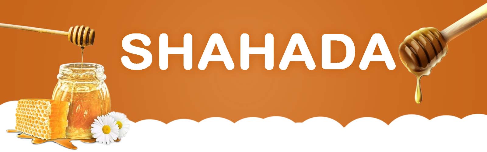 slider-image