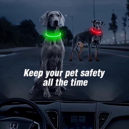 Proteger a las mascotas de los coches,collar luminoso