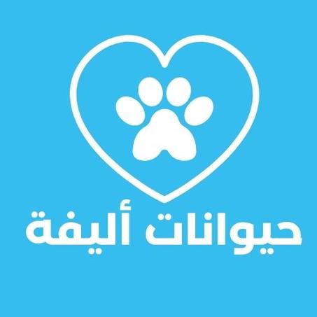 الحيوانات الأليفة