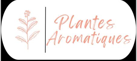 PLANTES AROMATIQUES