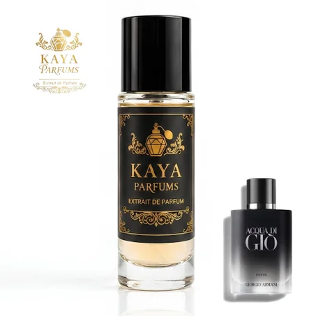 aqua di gio (armani perfume)
