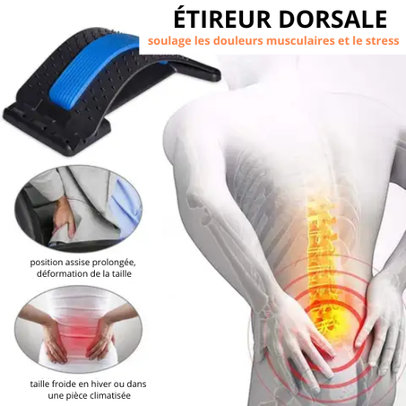 Civière dorsale orthopédique