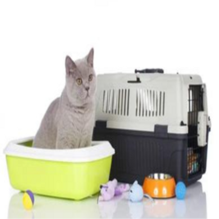 مستلزمات الحيوانات الأليفة