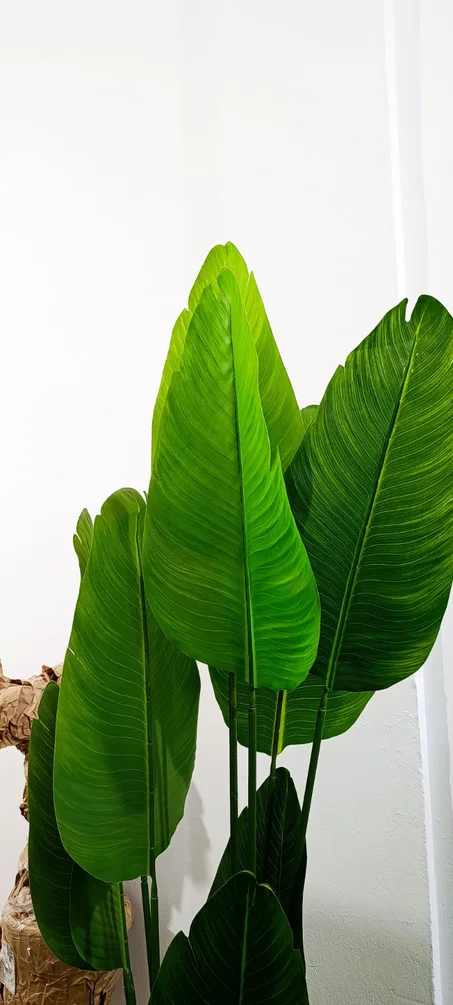 PLANTES ARTIFICIELLES