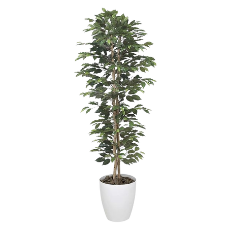 Ficus Artificiel 170 cm avec Pot Blanc – Feuillage Dense et Réaliste