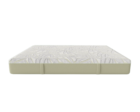 MATELAS KINÉDORSAL VITAL