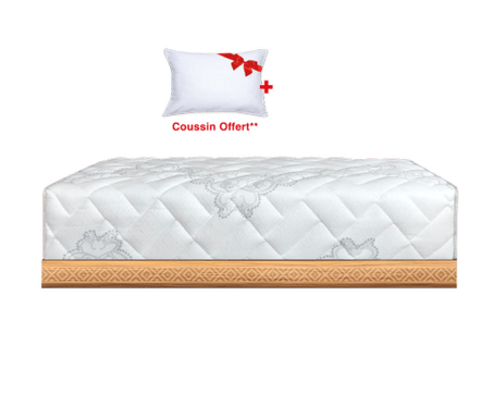 SALON RESSORT KINEDORSAL BIO ENERGY