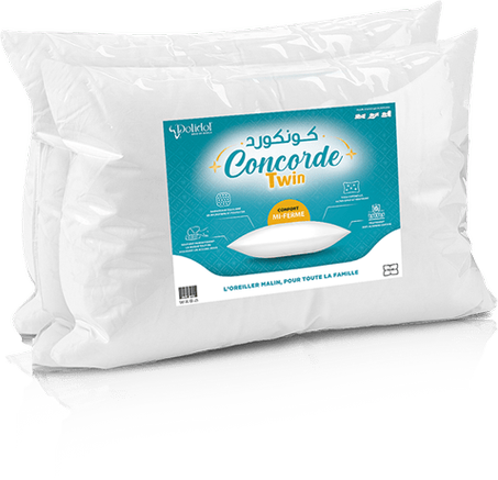 Oreiller DOLIDOL Concorde Twin