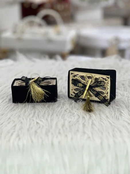 BOITE SOUTENANCE M-320