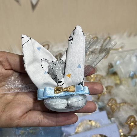 Accessoire Garçon papillons + Dragée