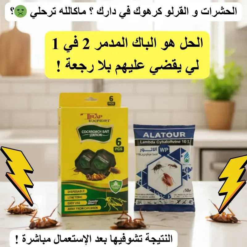 Pack المدمر للقضاء على الحشرات