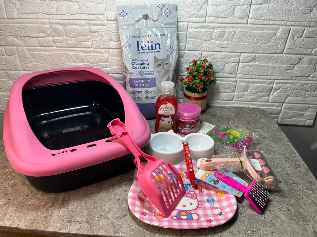 "بّاك كامل لقطّك… كلش مجموع في بلاصة وحدة!"