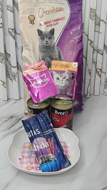 🐱 باك أكل القطط الأكثر طلباً وصل من جديد!
