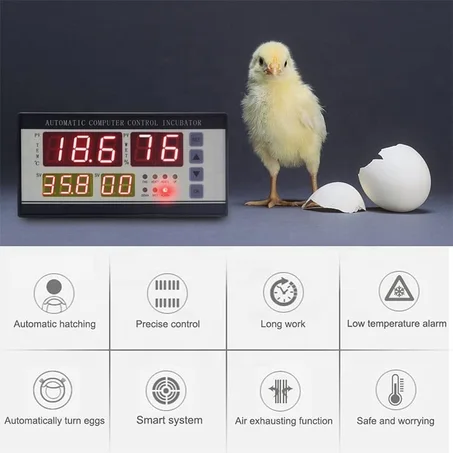 Contrôleur Automatique Incubateur d'oeufs Thermostat régulateur température et d'humidité avec capteur