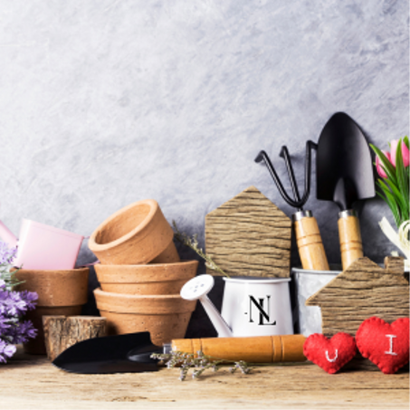 المنزل و الحديقة