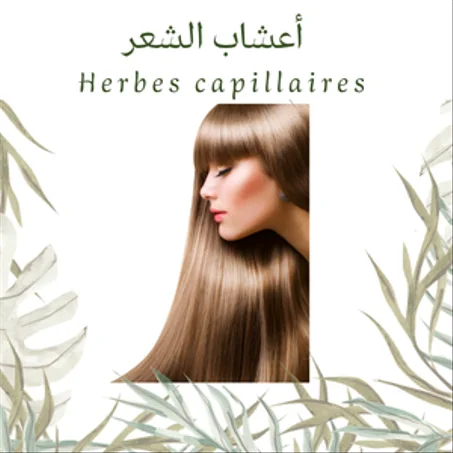 أعشاب الشعر