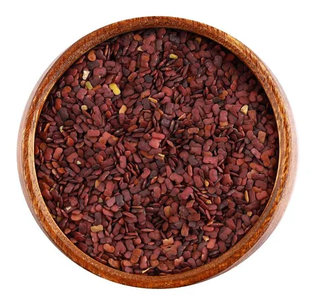 حلبة النخيل