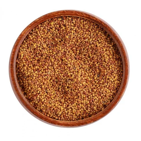 زريعة الفصة البلدية